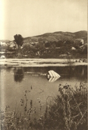 Site of the Temple of Diana, Ephesus. From H.V. Morton, In the Steps of St. Paul, 2nd edn. London: Methuen and Co., Ltd., 1937, p.320.